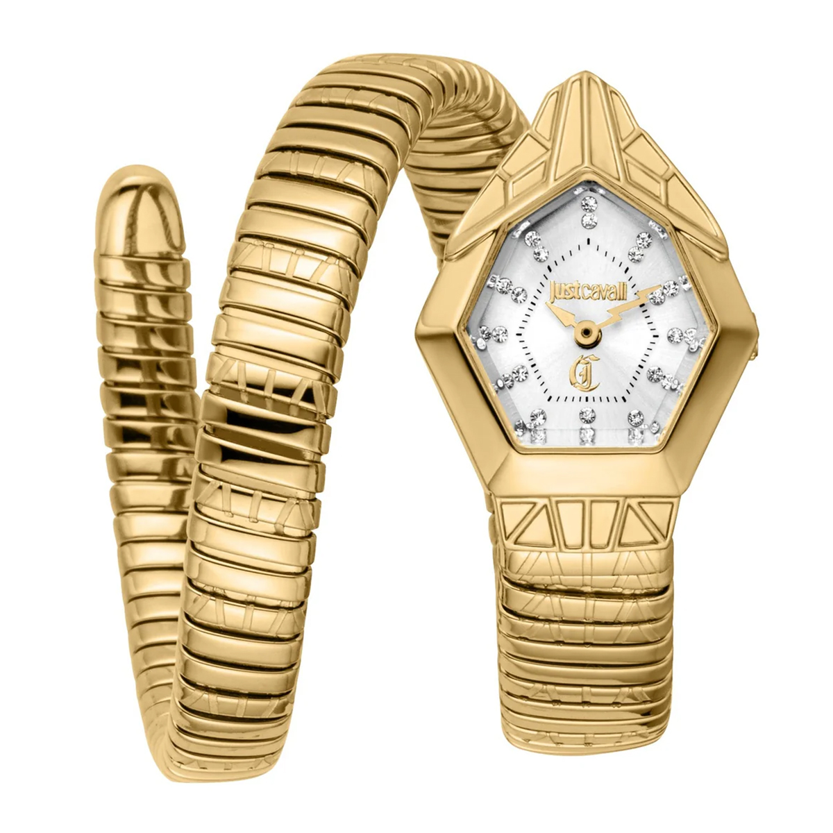 MONTRE JUST CAVALI FEMME SIMPLE ACIER